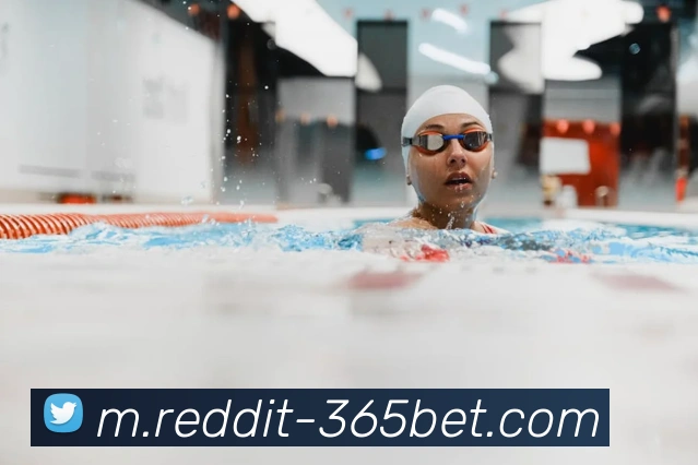 365bet平台生态图